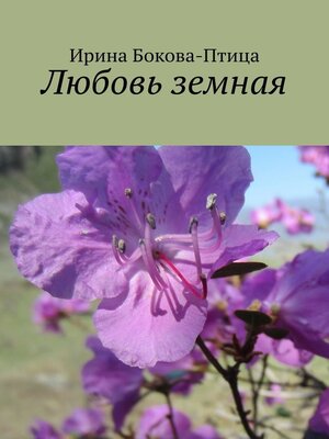 cover image of Любовь земная